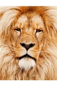 Journaling Notebook (Lion, 8.5 x 11 Edition)
