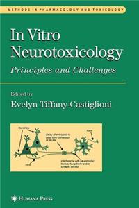 In Vitro Neurotoxicology