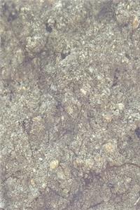 2020 Daily Planner Smooth Rock Surface Photo 388 Pages