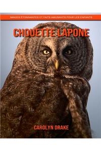 Chouette Lapone
