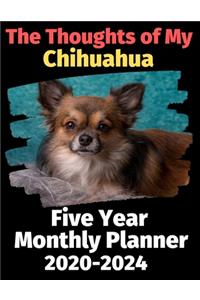 The Thoughts of My Chihuahua