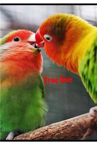 true love