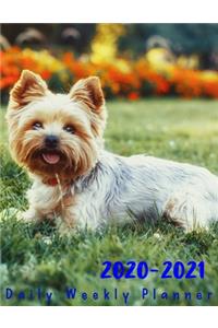 2 Year Planner 2020-2021 Daily Weekly Monthly