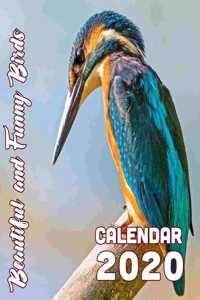 Beautiful and Funny Birds Calendar 2020