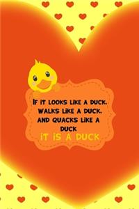 If It Looks Like A Duck, Walks Like A Duck, And Quacks Like A Duck It Is A Duck