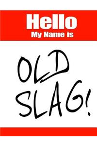 Hello My Name Is Old Slag!: Funny Phrase Discreet Internet Website Password Organizer Book