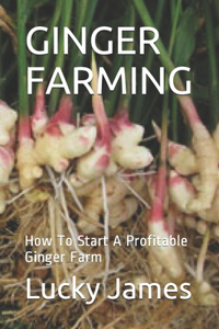 Ginger Farming