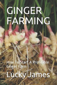 Ginger Farming