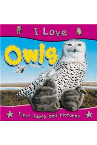 I Love Owls