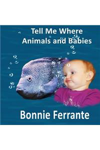 Tell Me Where