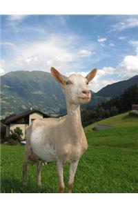 Goat Notebook