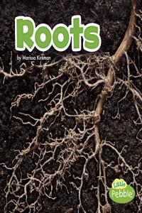 Plant Parts Roots