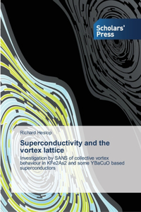 Superconductivity and the vortex lattice