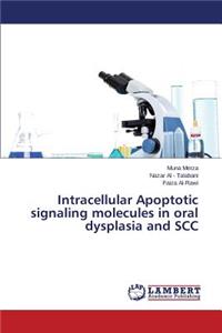 Intracellular Apoptotic signaling molecules in oral dysplasia and SCC