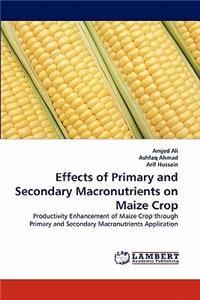 Effects of Primary and Secondary Macronutrients on Maize Crop