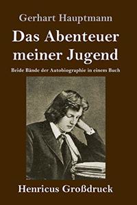 Das Abenteuer meiner Jugend (Großdruck)