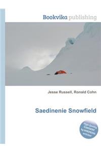 Saedinenie Snowfield