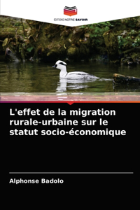 L'effet de la migration rurale-urbaine sur le statut socio-économique