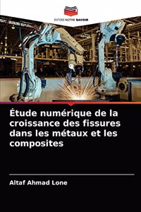 Étude numérique de la croissance des fissures dans les métaux et les composites