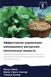 Эффективное управление имеющимися ресу