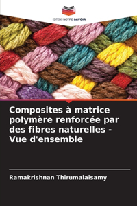 Composites à matrice polymère renforcée par des fibres naturelles - Vue d'ensemble