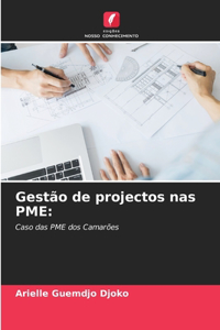 Gestão de projectos nas PME