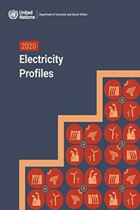 2020 Electricity Profiles