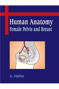 Human Anatomy : Female Pelvis and Breast