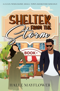 Shelter From The Storm