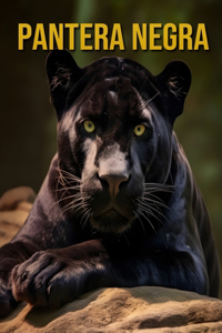 Pantera negra