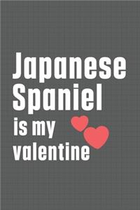 Japanese Spaniel is my valentine