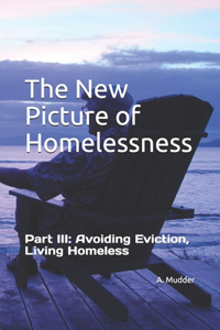 The New Picture of Homelessness