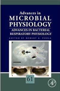 Advances in Bacterial Respiratory Physiology