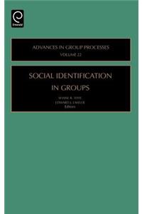 Social Identification in Groups