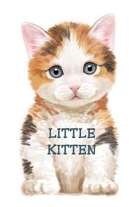 Little Kitten