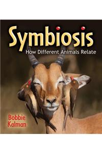 Symbiosis: How Different Animals Relate
