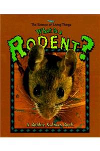 What Is a Rodent?