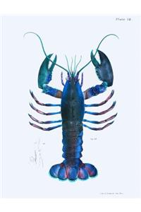 Blue Lobsters