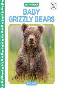 Baby Grizzly Bears
