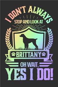 I Don't Always Stop and Look At Brittany OH Wait, Yes I Do!