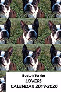 Boston Terrier Lovers Calendar 2019-2020