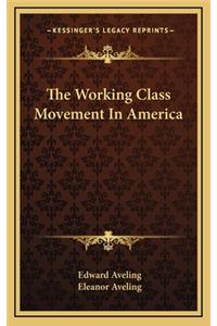 The Working Class Movement in America
