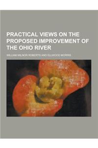 Practical Views on the Proposed Improvement of the Ohio River
