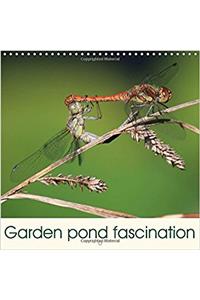 Garden Pond Fascination 2018