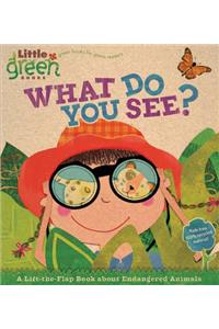 What Do You See?: A Lift-The-Flap Book about Endangered Animals