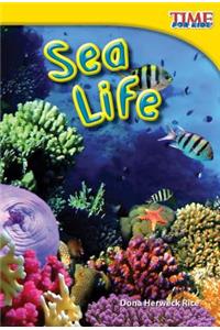 Sea Life (Library Bound)