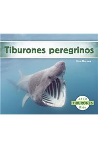 Tiburones Peregrinos