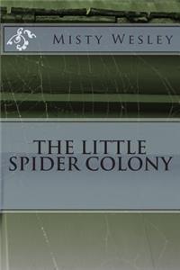 Little Spider Colony