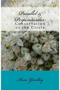 Parallel & Perpendicular