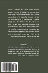 An Introduction to Weapons Systems (Hebrew Edition)